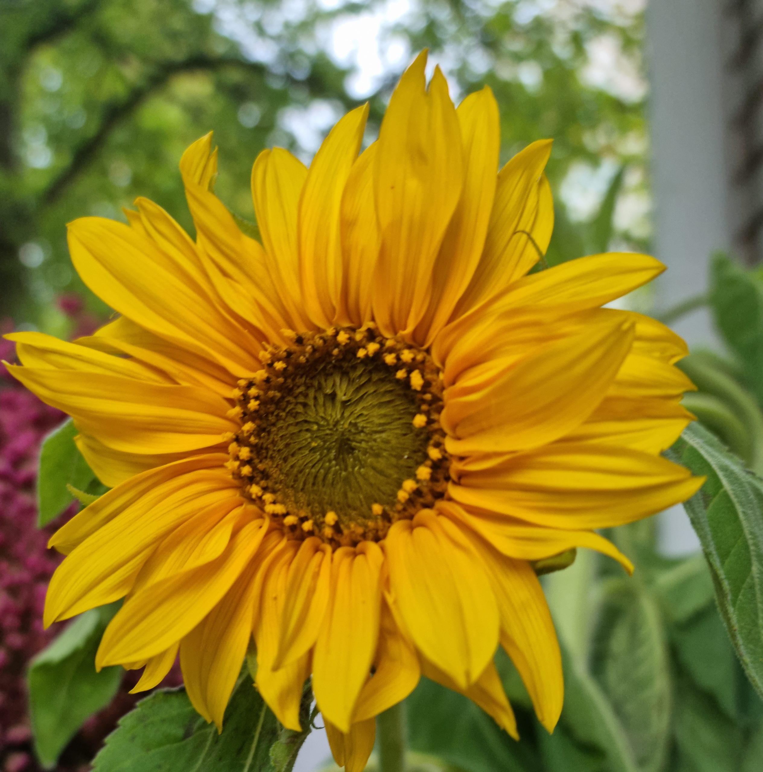 Piiritoimisto suljettu 24.6.-28.7.2024